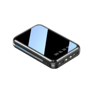 batterie double sortie usb