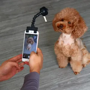 clip selfie pour animaux