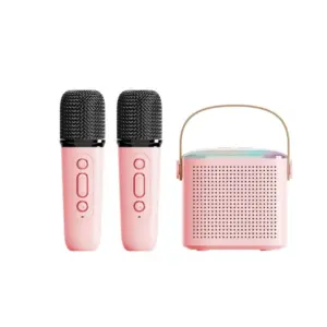 enceinte karaoké deux micros