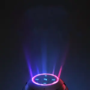mini enceinte compacte