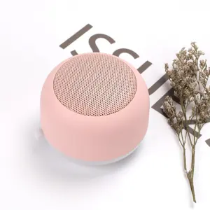 mini enceinte sans fil