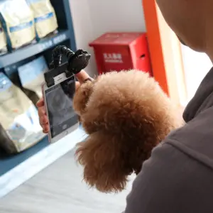 pince selfie pour chien