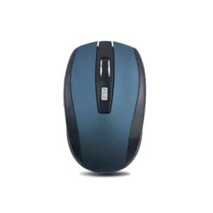 souris sans fil mate