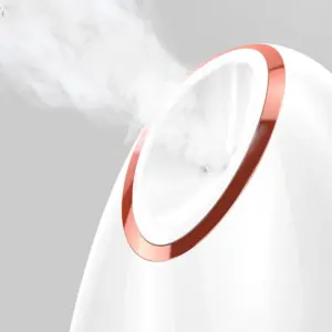 vaporisateur facial 280 w