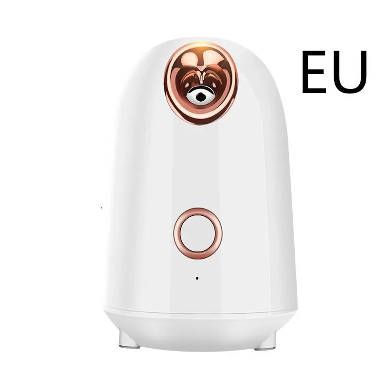 Vaporisateur facial 280 W à vapeur tiède pour soin du visage
